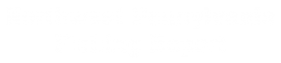 NPFR Text Logo